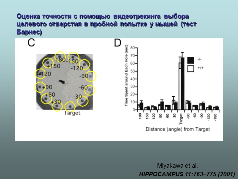 Miyakawa et al. HIPPOCAMPUS 11:763–775 (2001) Оценка точности с помощью видеотрекинга выбора целевого отверстия